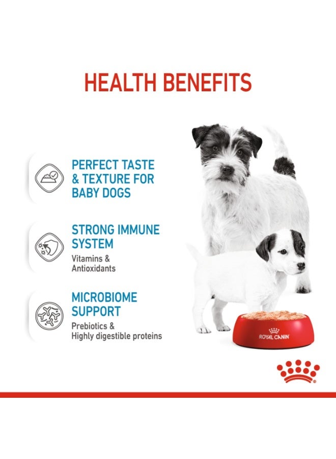 رويال كانين هيلث نيوتريشن ستارتر موس - للأمهات والكلاب الصغيرة (طعام رطب - علب) 195 غرام - Image 3